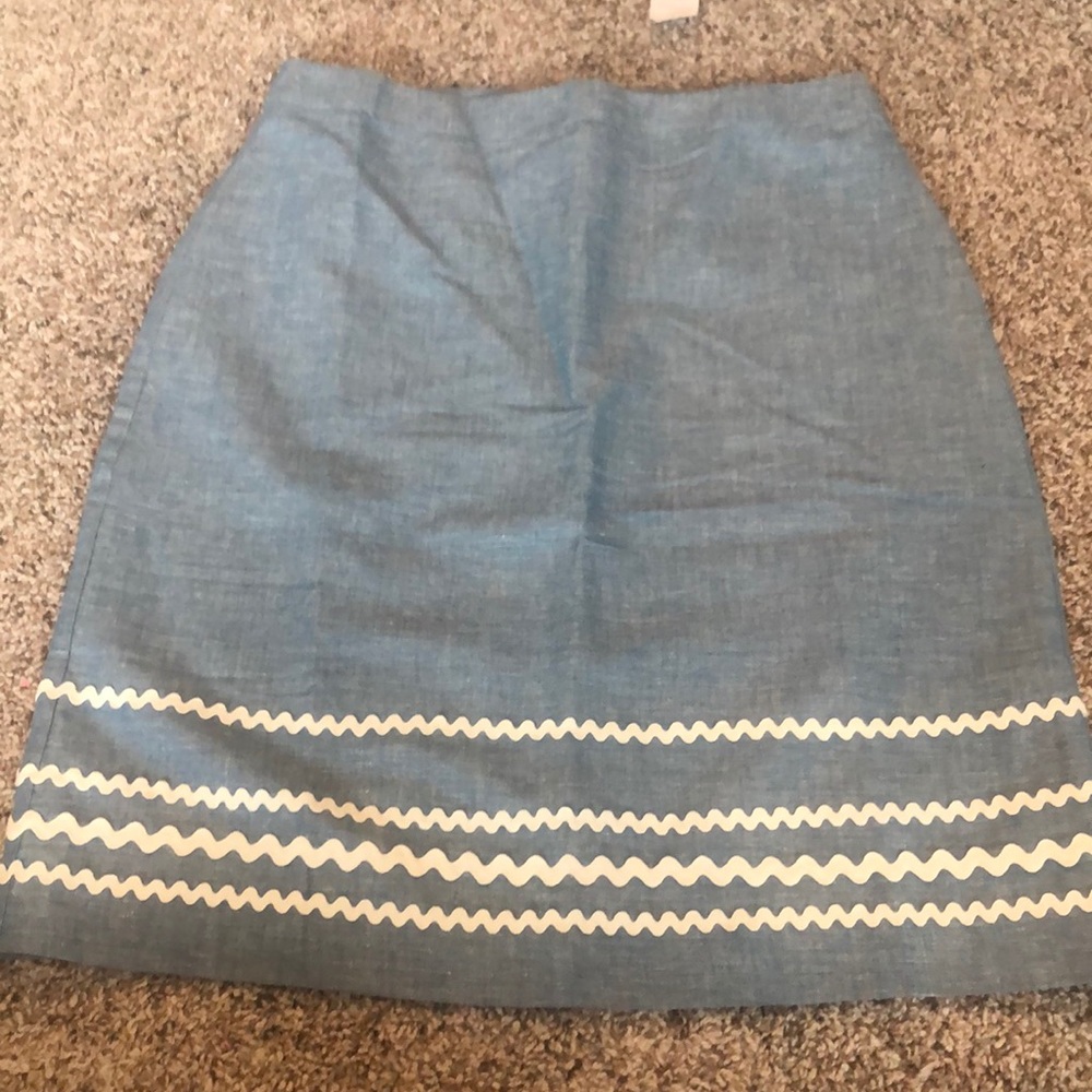 Ann Taylor skirt